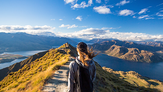 Which NZ companies pull in the most revenue? | Insights | Craigs